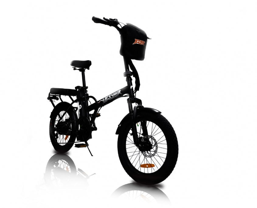 GREENBIKE ELECTRIC MOTION Jager Dune. Two-Seat E-Bike - 350 Watt, 36V