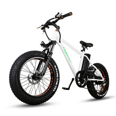 Fat Tire Electric Bike NAKTO Mini Cruiser