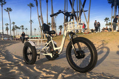 EMOJO CADDY PRO, Electric Fat Tire Tricycle - 500 Watt, 48V