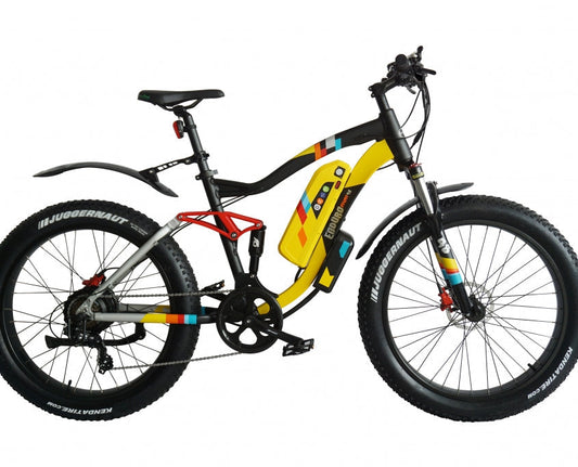Green Bike Electric Motion Enduro Phat Electric Mountain Bike