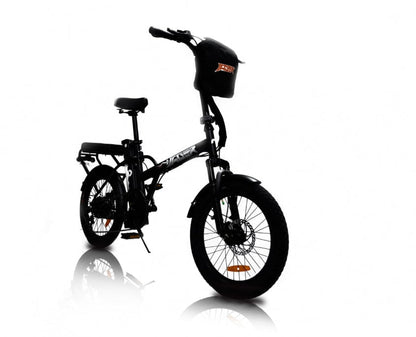 GREENBIKE ELECTRIC MOTION Jager Dune. Two-Seat E-Bike - 350 Watt, 36V