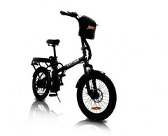 GREENBIKE ELECTRIC MOTION Jager Dune. Two-Seat E-Bike - 350 Watt, 36V