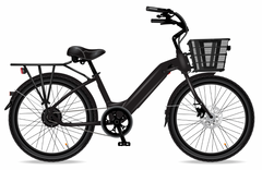 MODEL E Entry (Economy Bike)